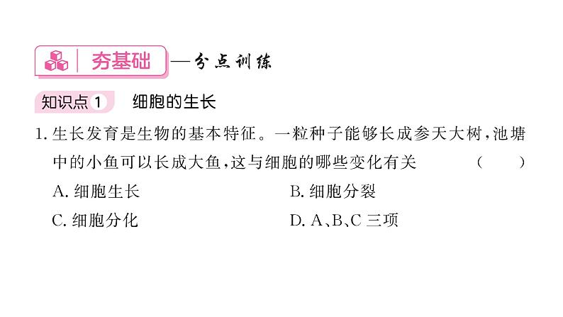 1.3.1细胞通过分裂产生新细胞 习题课件--2024-2025学年人教版（2024）生物七年级上册第5页