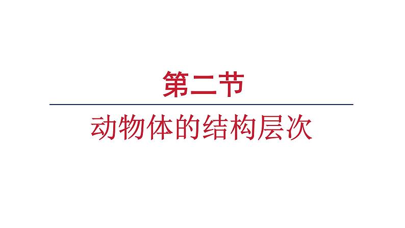 1.3.2动物体的结构层次课件 2024-2025学年人教版（2024）生物七年级上册第1页