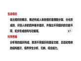1.3.2动物体的结构层次课件 2024-2025学年人教版（2024）生物七年级上册
