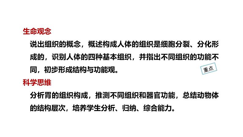 1.3.2动物体的结构层次课件 2024-2025学年人教版（2024）生物七年级上册第2页