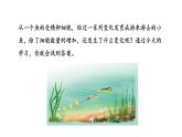1.3.2动物体的结构层次课件 2024-2025学年人教版（2024）生物七年级上册