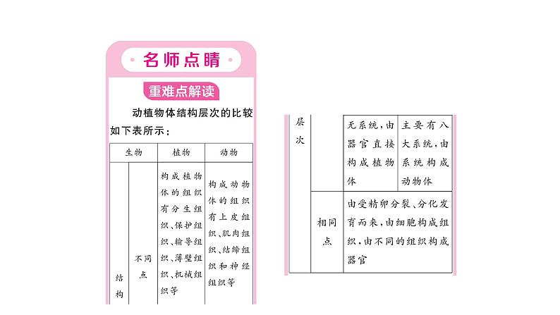 1.3.3植物体的结构层次习题课件  2024-2025学年人教版（2024）生物七年级上册02