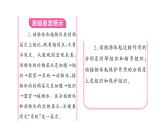 1.3.3植物体的结构层次习题课件  2024-2025学年人教版（2024）生物七年级上册