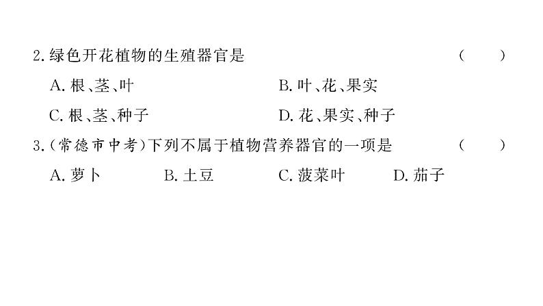 1.3.3植物体的结构层次习题课件  2024-2025学年人教版（2024）生物七年级上册07