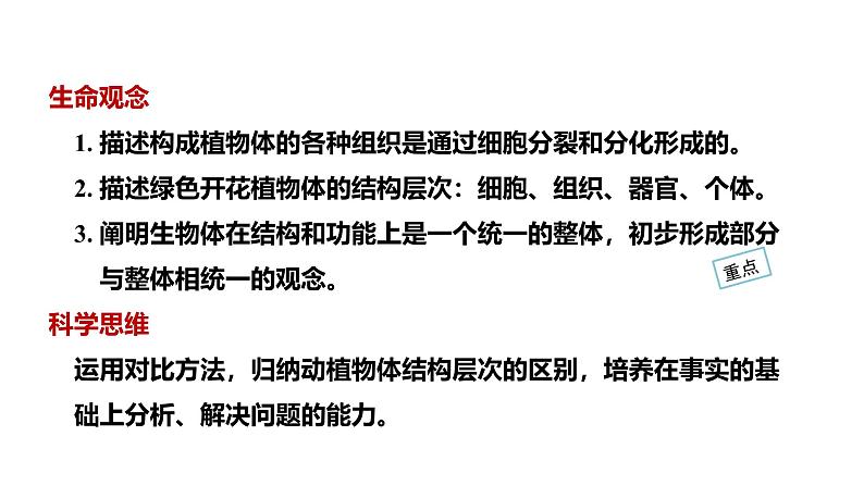 1.3.3植物体的结构层次课件   2024-2025学年人教版（2024）生物七年级上册02