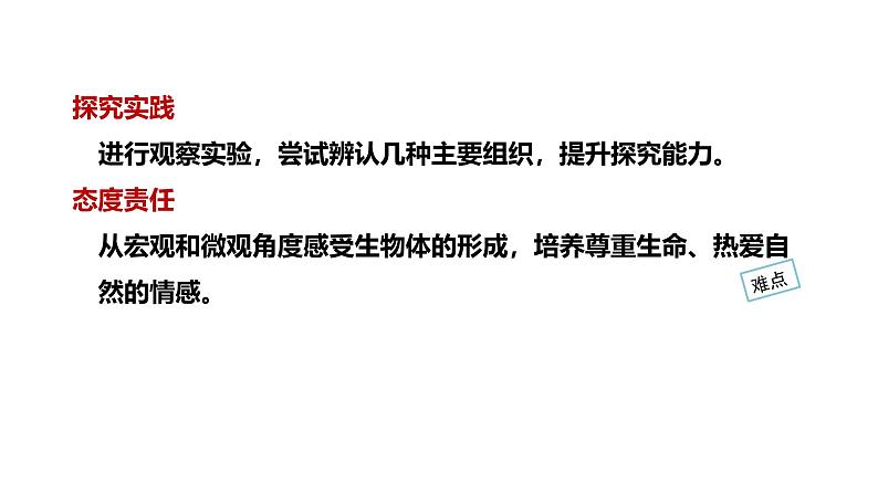 1.3.3植物体的结构层次课件   2024-2025学年人教版（2024）生物七年级上册03