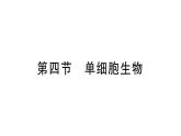 1.3.4 单细胞生物习题课件--2024-2025学年人教版（2024）生物七年级上册