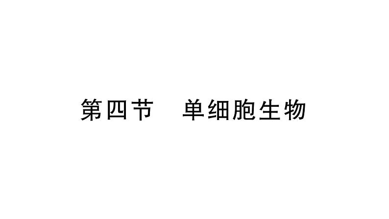 1.3.4 单细胞生物习题课件--2024-2025学年人教版（2024）生物七年级上册01