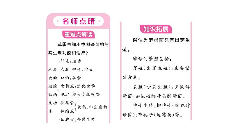 1.3.4 单细胞生物习题课件--2024-2025学年人教版（2024）生物七年级上册02