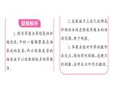 1.3.4 单细胞生物习题课件--2024-2025学年人教版（2024）生物七年级上册