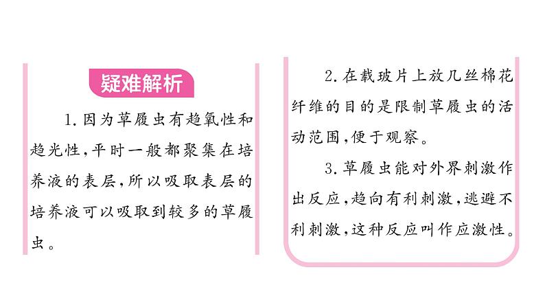 1.3.4 单细胞生物习题课件--2024-2025学年人教版（2024）生物七年级上册03