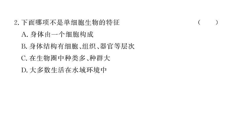 1.3.4 单细胞生物习题课件--2024-2025学年人教版（2024）生物七年级上册07