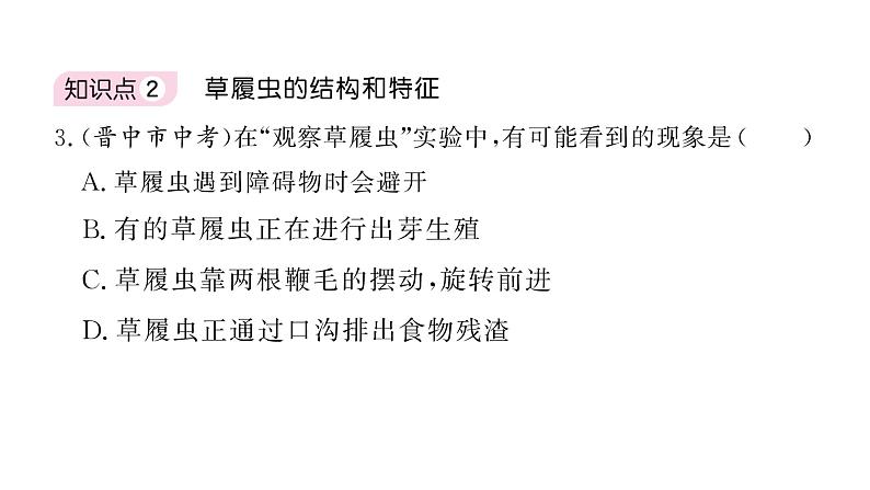 1.3.4 单细胞生物习题课件--2024-2025学年人教版（2024）生物七年级上册08