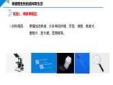 1.3.4 单细胞生物课件--2024-2025学年人教版（2024）生物七年级上册
