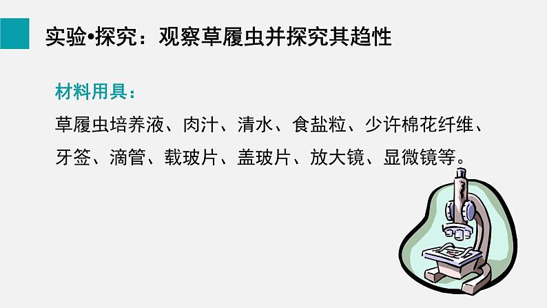 1.3.4单细胞生物课件--2024-2025学年人教版（2024）生物七年级上册第3页