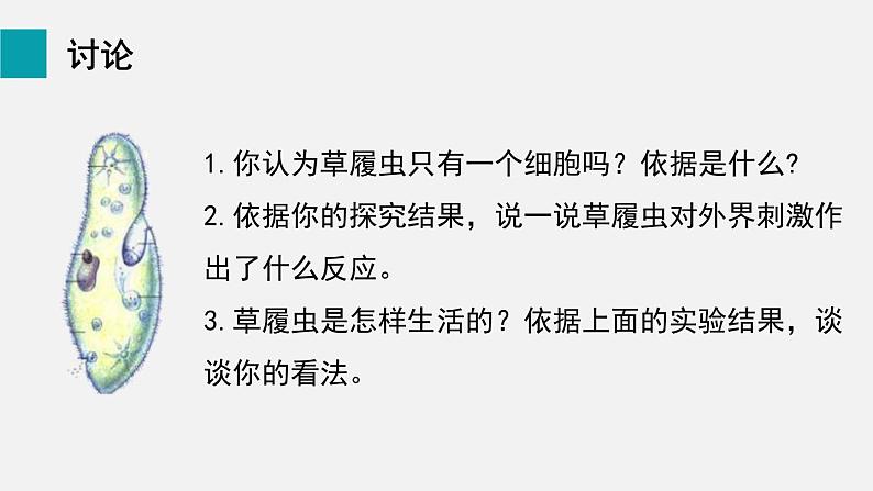 1.3.4单细胞生物课件--2024-2025学年人教版（2024）生物七年级上册第6页