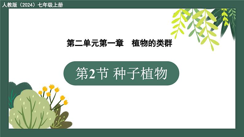 2.1.2种子植物教学课件--2024-2025学年人教版（2024）生物七年级上册第1页