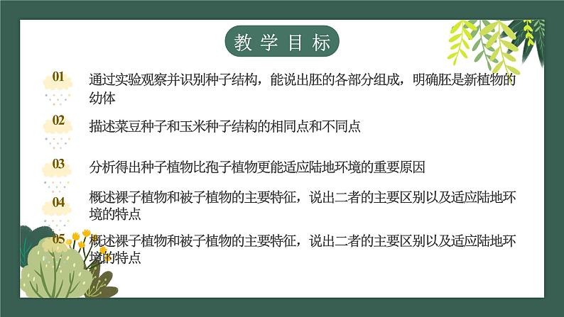 2.1.2种子植物教学课件--2024-2025学年人教版（2024）生物七年级上册第2页