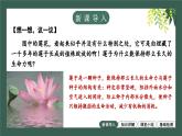 2.1.2种子植物教学课件--2024-2025学年人教版（2024）生物七年级上册