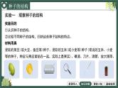 2.1.2种子植物教学课件--2024-2025学年人教版（2024）生物七年级上册