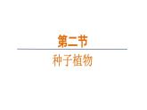 2.1.2种子植物课件--2024-2025学年人教版（2024）生物七年级上册