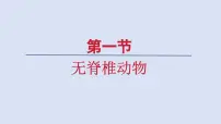初中生物人教版（2024）七年级上册（2024）第二节 脊椎动物课文课件ppt