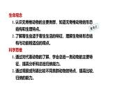 2.2.1无脊椎动物课件--2024-2025学年人教版（2024）生物七年级上册
