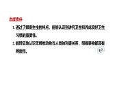 2.2.1无脊椎动物课件--2024-2025学年人教版（2024）生物七年级上册