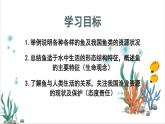 2.2.2脊椎动物——（一）鱼 课件--2024-2025学年人教版（2024）生物七年级上册