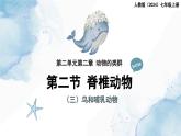 2.2.2脊椎动物——（三）鸟和哺乳动物课件--2024-2025学年人教版（2024）生物七年级上册