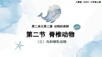 初中生物人教版（2024）七年级上册（2024）三 鸟和哺乳动物集体备课ppt课件