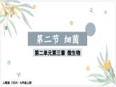2.3.2细菌课件--2024-2025学年人教版（2024）生物七年级上册