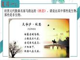 1.1.2调查周边环境中的生物课件-2024-2025学年人教版（2024）生物七年级上册
