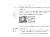 综合实践项目1　制作细胞模型课件---2024-2025学年人教版（2024）生物七年级上册