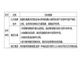 综合实践项目2　利用细菌或真菌制作发酵食品 (学案课件) ---2024-2025学年人教版（2024）生物七年级上册