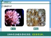 开学第一课课件--2024-2025学年人教版（2024）生物七年级上册