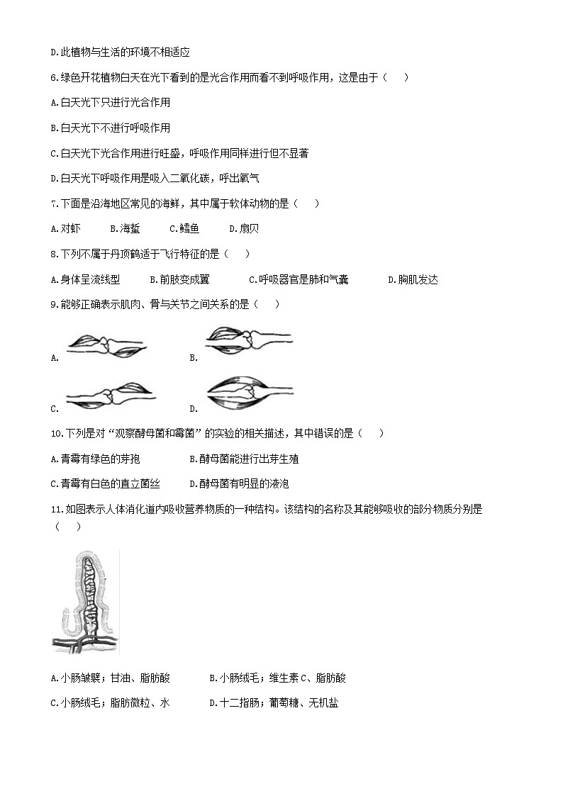 山东省济宁市泗水县2023-2024学年八年级下学期期末考试生物试题(无答案)02