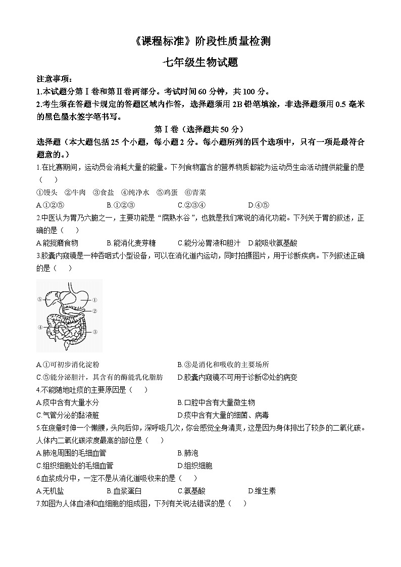 山东省济宁市泗水县2023-2024学年七年级下学期期末考试生物试题(无答案)01