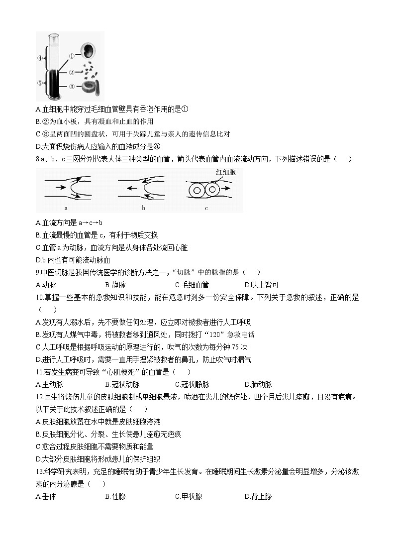 山东省济宁市泗水县2023-2024学年七年级下学期期末考试生物试题(无答案)02
