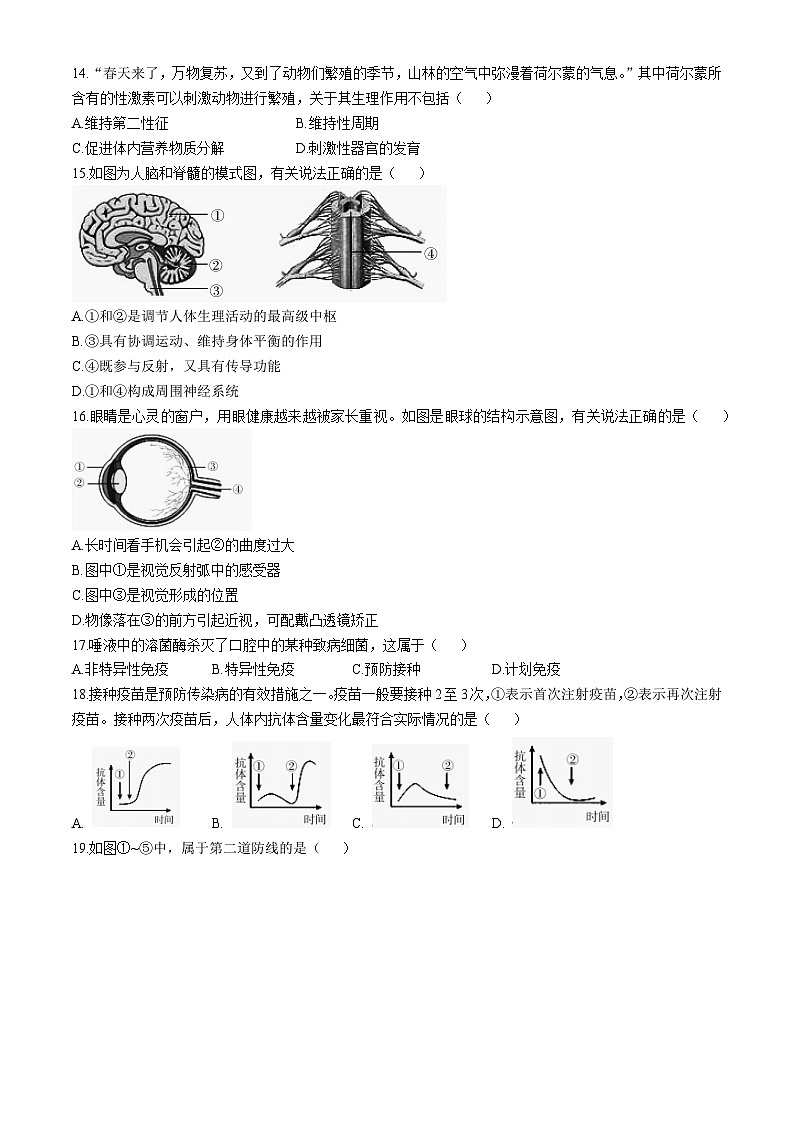 山东省济宁市泗水县2023-2024学年七年级下学期期末考试生物试题(无答案)03