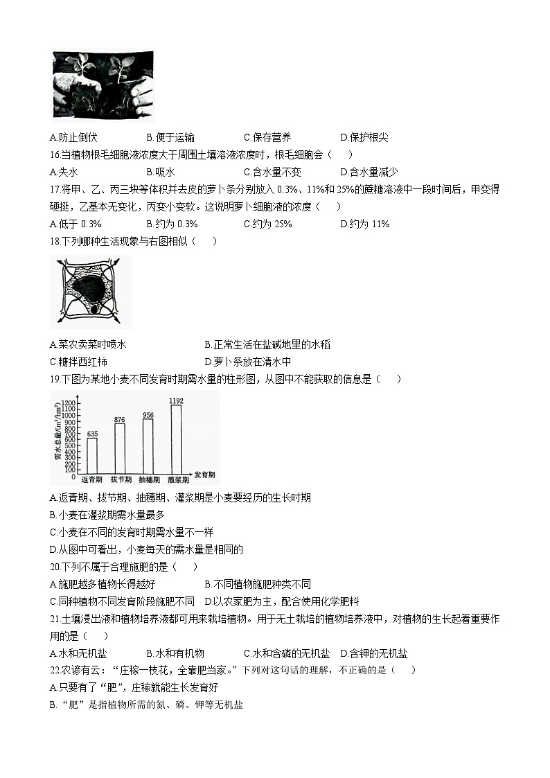河北省邢台市任泽区2024-2025学年八年级上学期10月月考生物试题(无答案)第3页