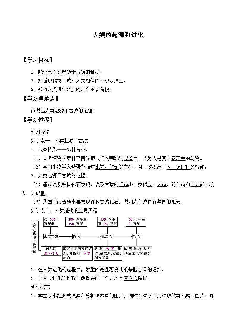 苏教版生物八年级上册16.4人类的起源和进化_学案1第1页