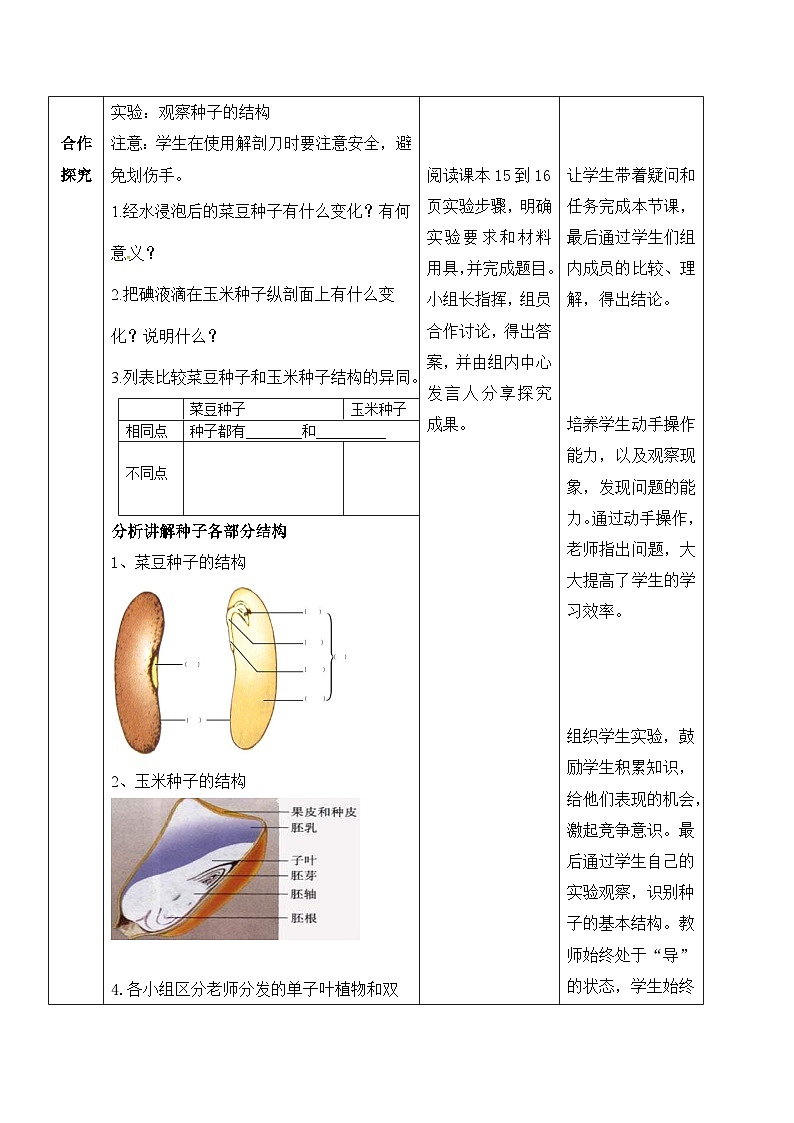 济南版生物八年级上册1.3果实和种子的形成教案03