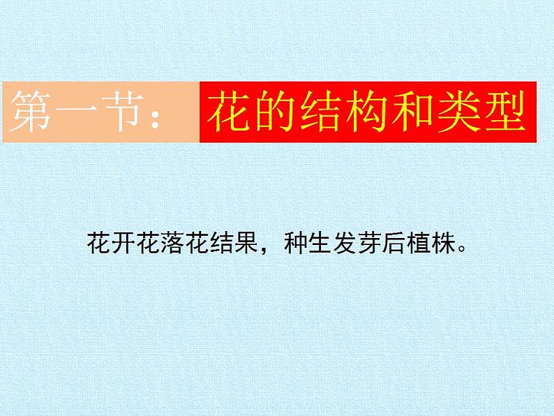 济南版生物八年级上册1绿色开花植物的一生 复习课件第2页