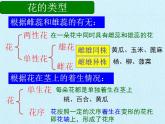 濟南版生物八年級上冊1綠色開花植物的一生 復習課件