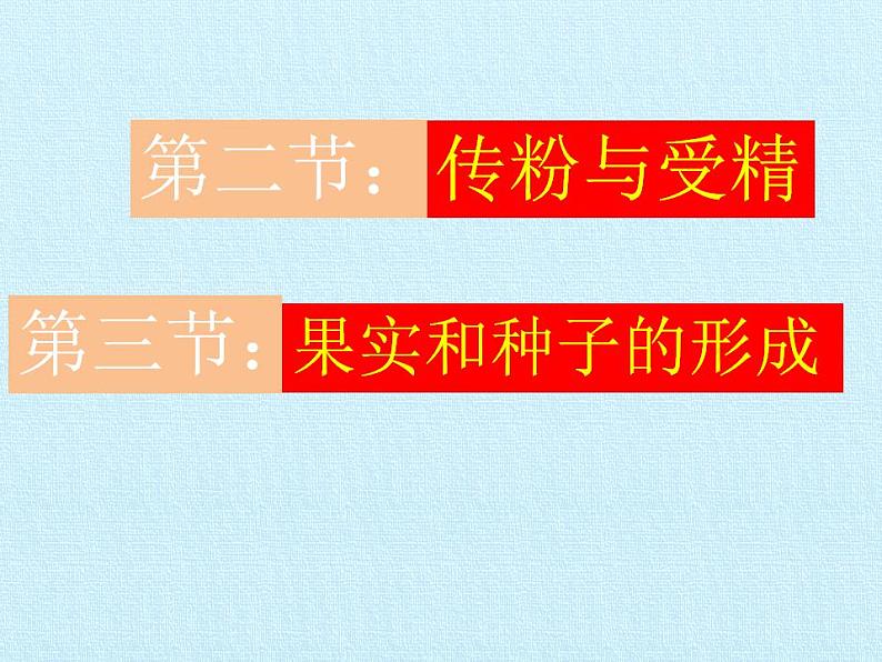 济南版生物八年级上册1绿色开花植物的一生 复习课件第8页