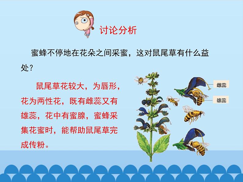 济南版生物八年级上册1.2传粉与受精_课件第8页