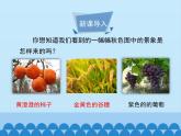 济南版生物八年级上册1.3果实和种子的形成_课件