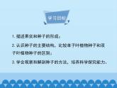 济南版生物八年级上册1.3果实和种子的形成_课件