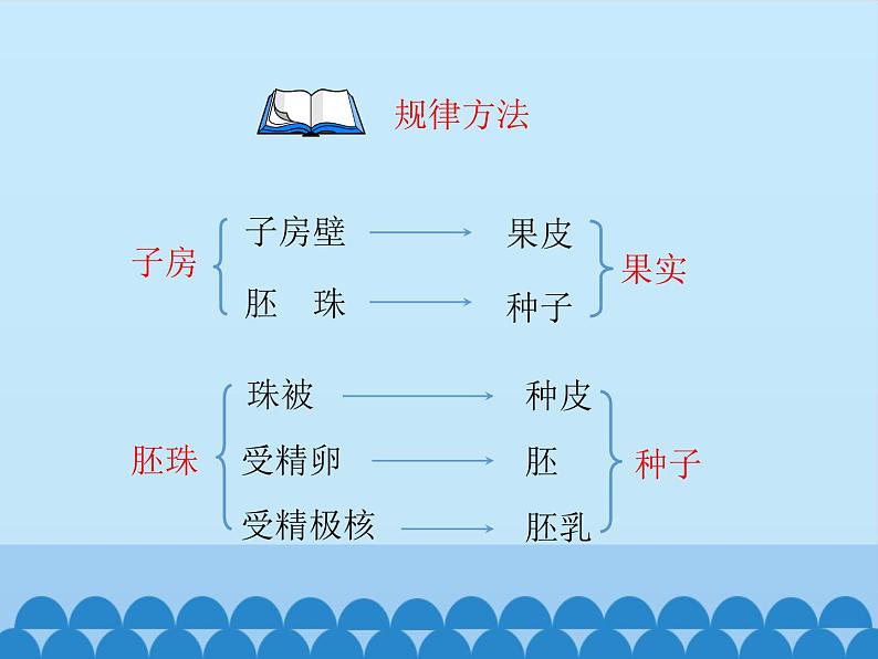 济南版生物八年级上册1.3果实和种子的形成_课件第7页